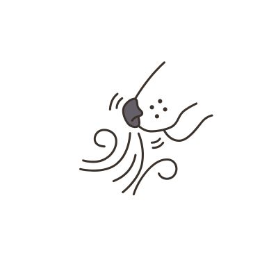 ajouter un titre (800 x 500 px) (400 x 1000 px) (400 x 400 px) (14)